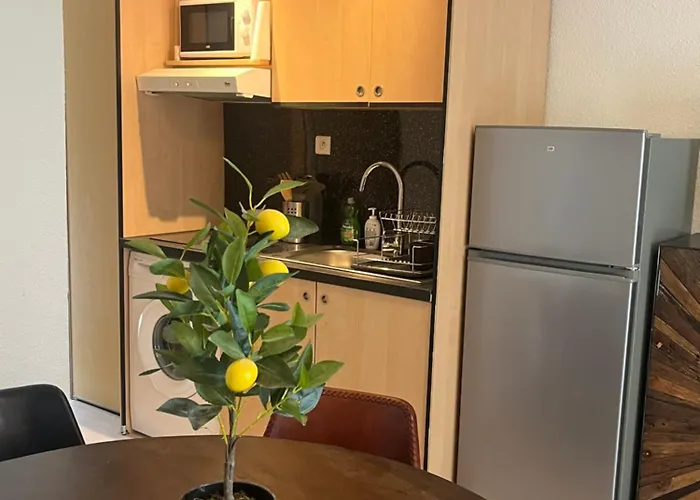 T3 Renove Parking Clim Parc Arbore Montpellier- Palavas 公寓 *