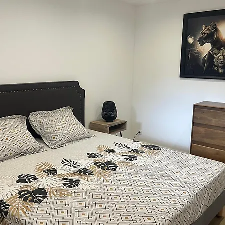 T3 Renove Parking Clim Parc Arbore Proche Apartmán *